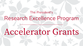 President's Research Excellence Program Accelerator Grants