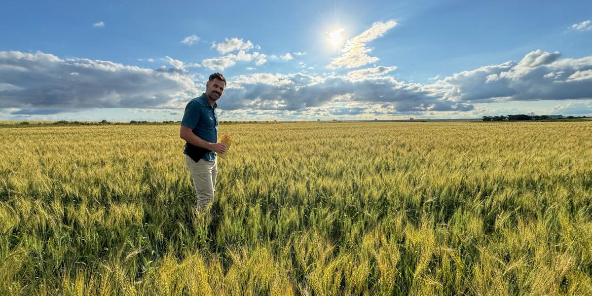 A smiling man stands in a field of grain.