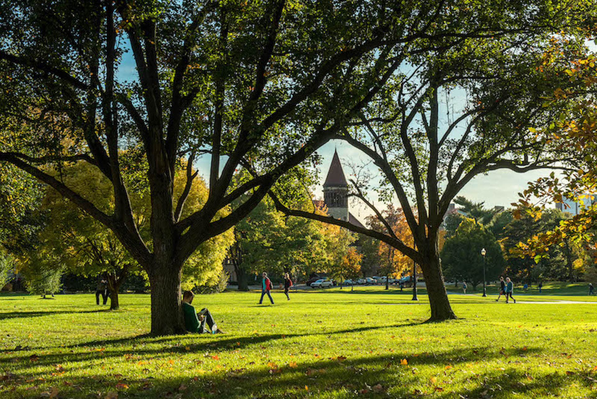 A view of the Oval from Orton Hall on a sunny day.