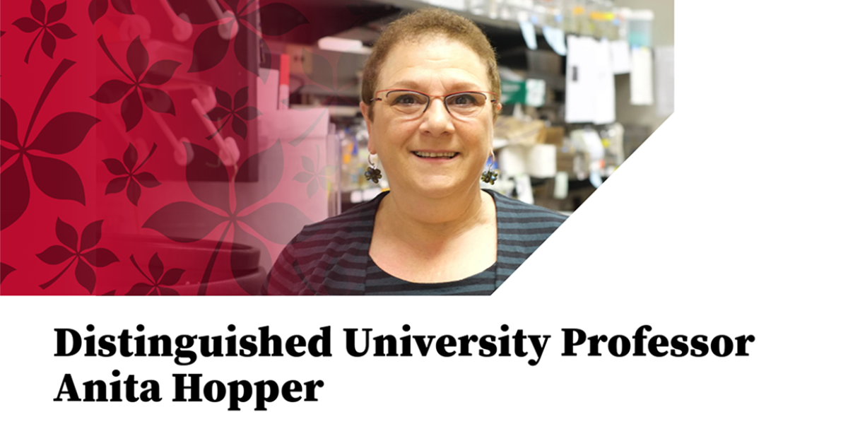Distinguished University Professor Anita Hopper headshot